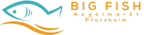 Logo Bigfish.ai horizontal